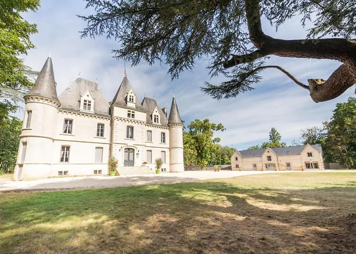 Chateau De Baillant - Futuroscope Guest house