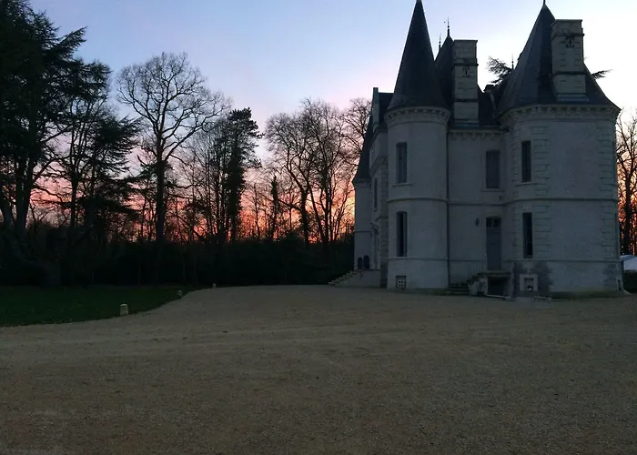 Guest house Chateau De Baillant - Futuroscope Saint-Martin-la-Pallu