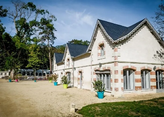 Chateau De Baillant - Futuroscope Guest house Saint-Martin-la-Pallu